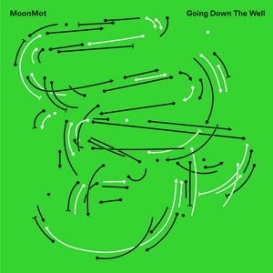 MoonMot Going Down The well album